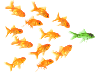 Das Cision Influence Rating: Wie es funktioniert und warum es nützlich ist
