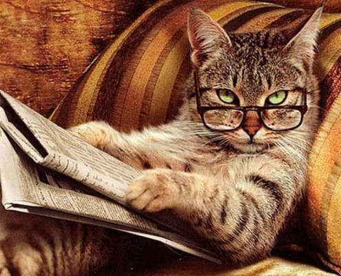 Medien im Blickpunkt: Booklist Online