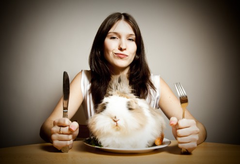 Food - Top 10 'Vegane' Blogs in Deutschland