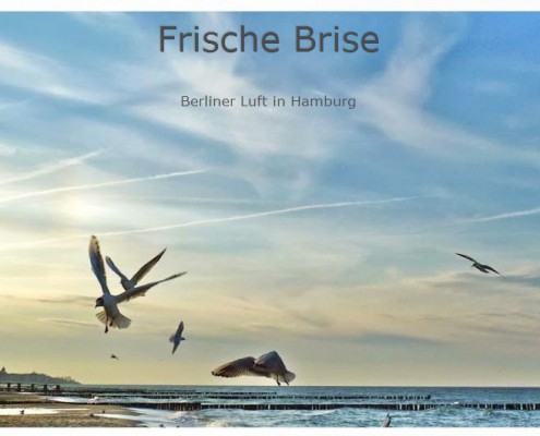 Blog Spotlight: Frische Brise