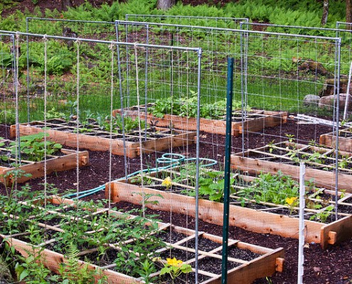 Gartenarbeit / Gartenbau – Top 10 Blogs in Schweden